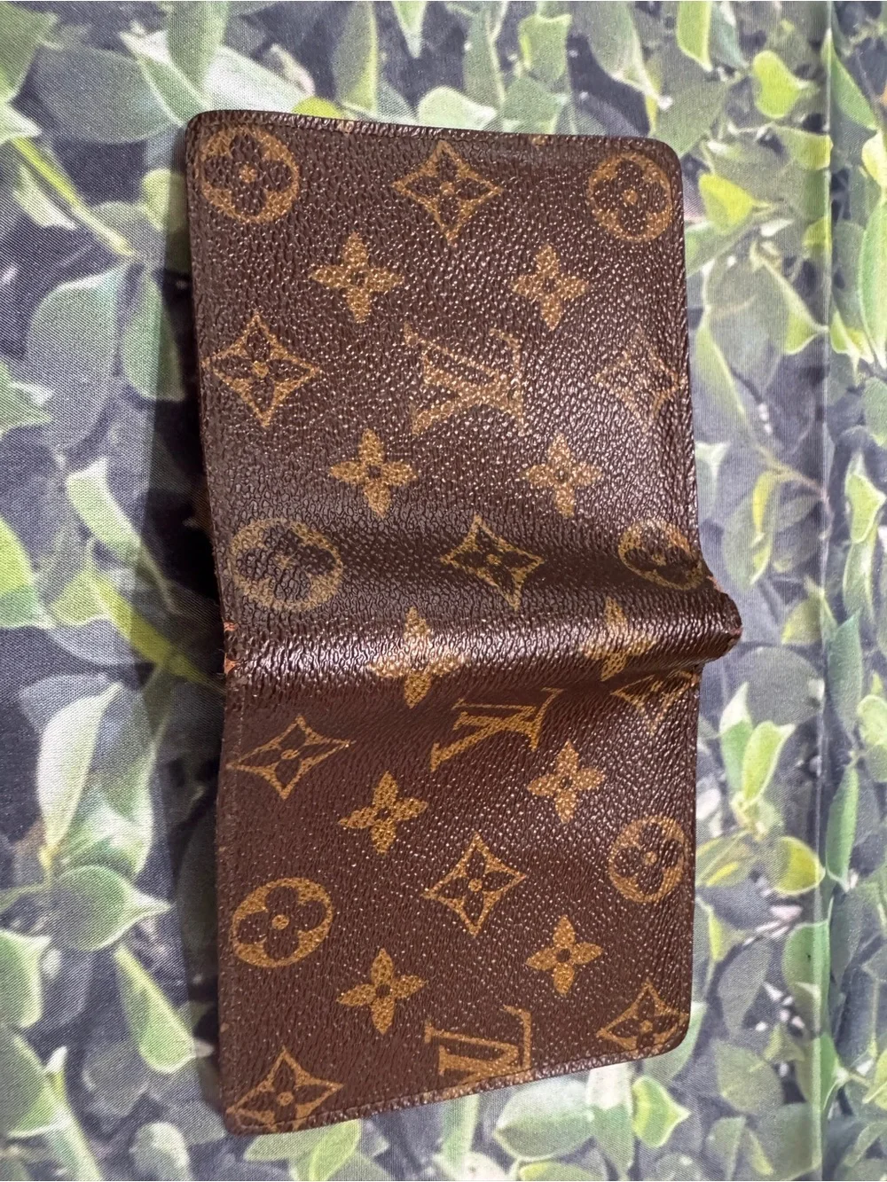 Louis Vuitton authentic louis